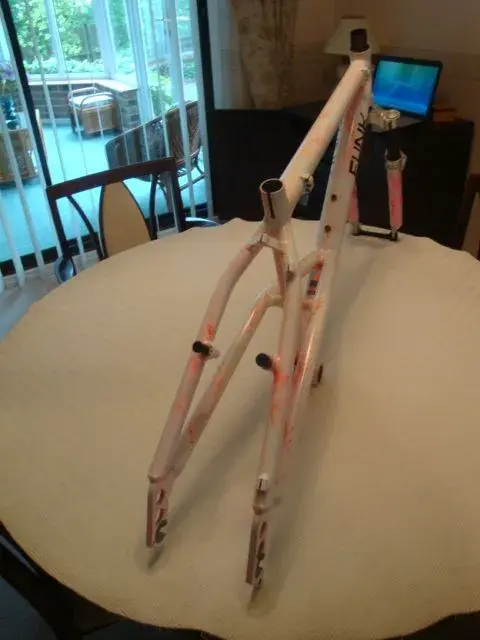 DSC03189.webp