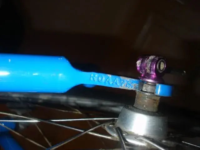 DSC00808.webp
