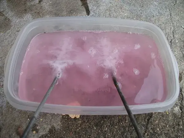 DSCF4975.webp