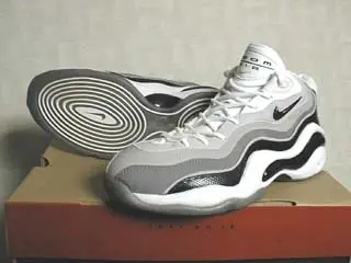 zoom flight 96.webp