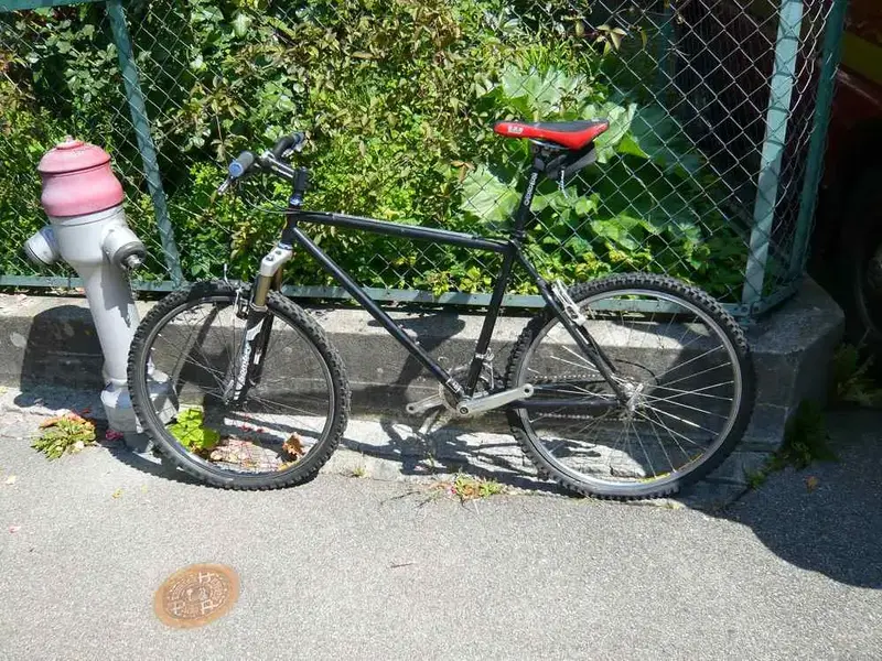 L1080344.webp