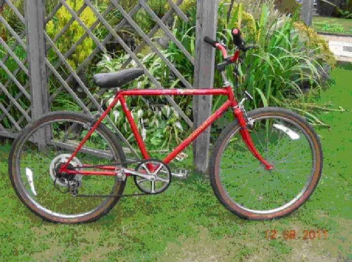 Raleigh MAVERICK.webp