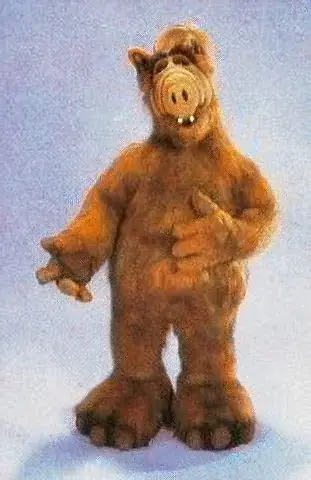 alf21.webp