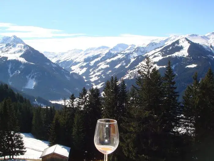 Kitzbuhel Feb 2011 082.webp
