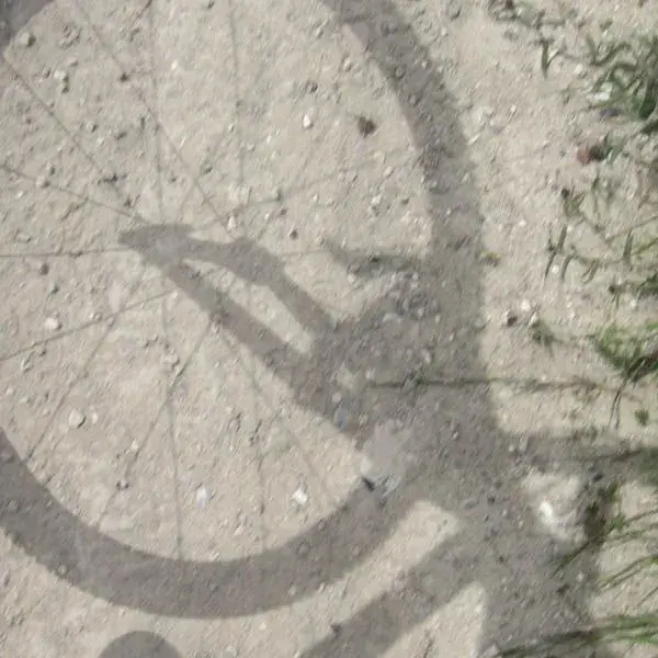 shadow.webp