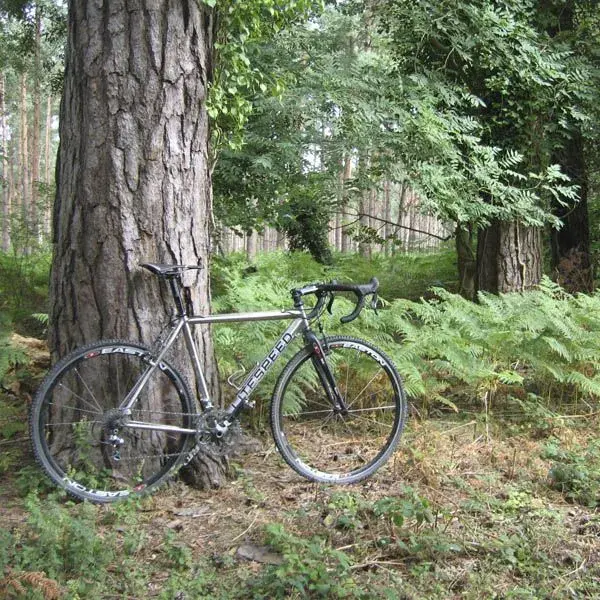 Woods.webp
