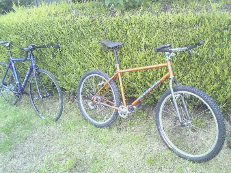 Kona & Principia [800x600].webp