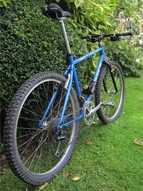 Rear angle.webp