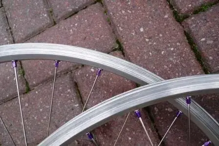 wheels 3.webp