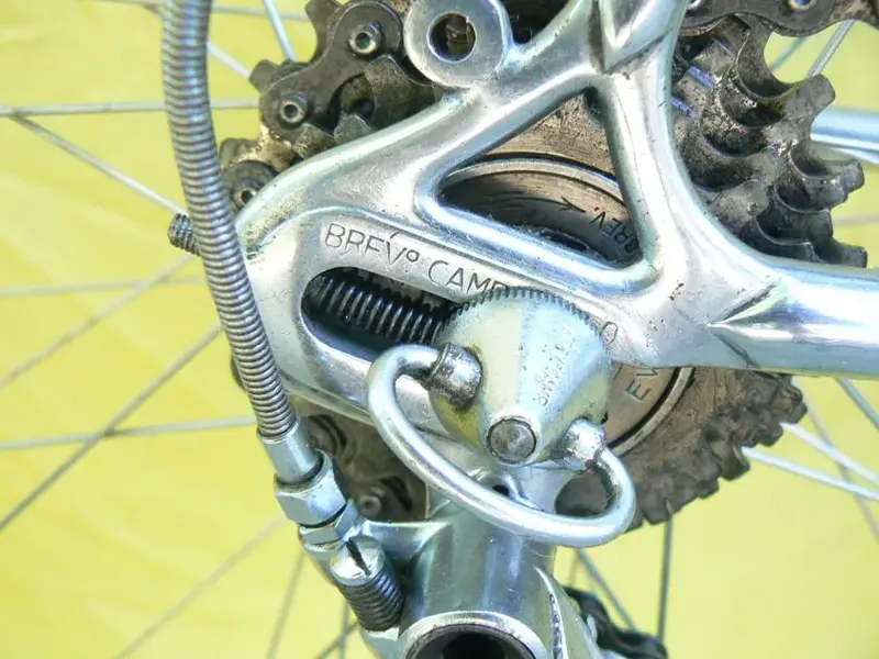 rear dropout closeup.webp