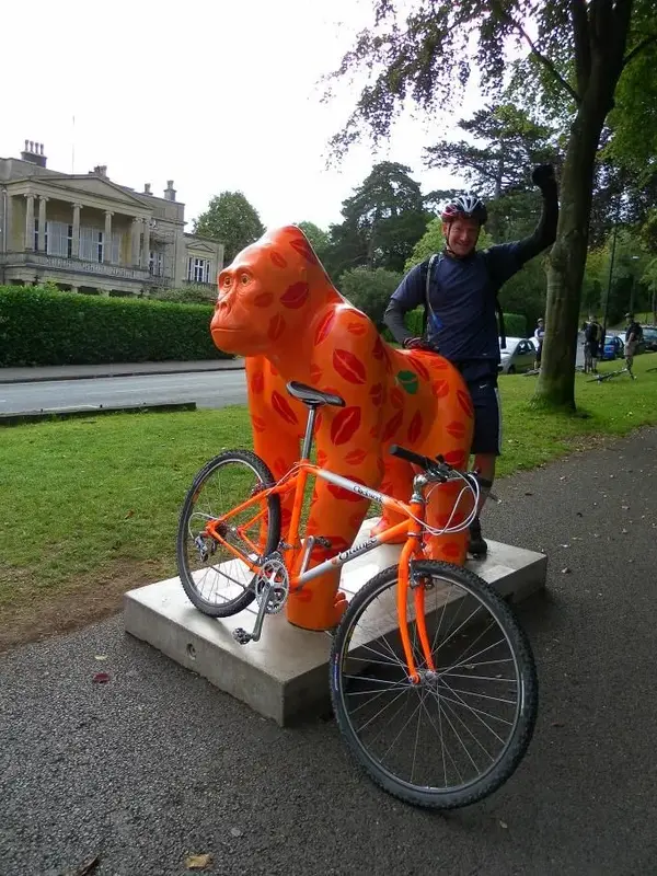 Spanking the monkey.webp