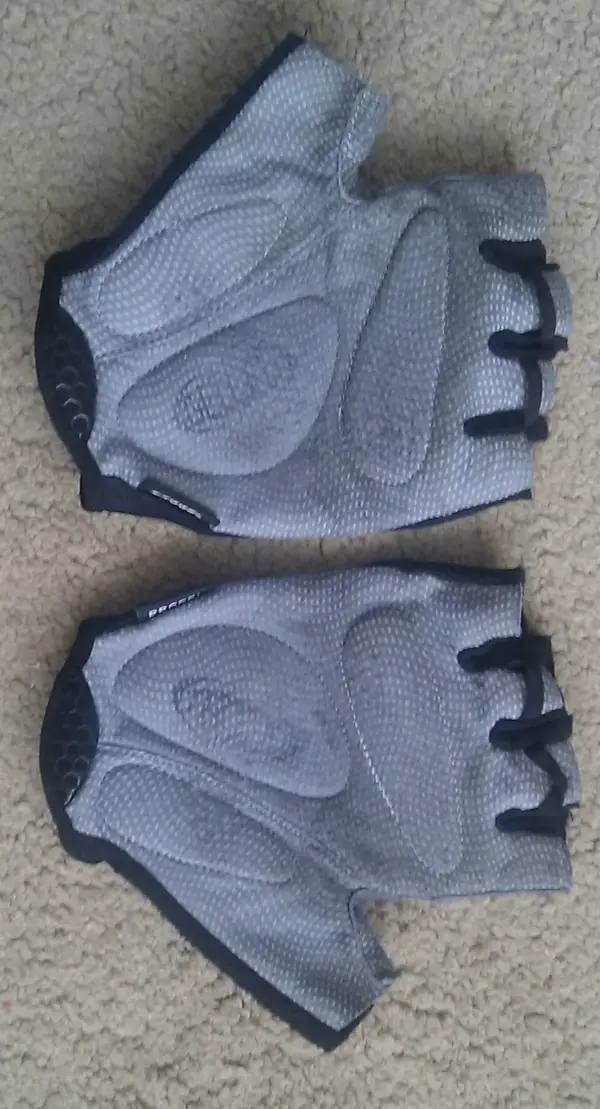 IMAG2308-1.webp
