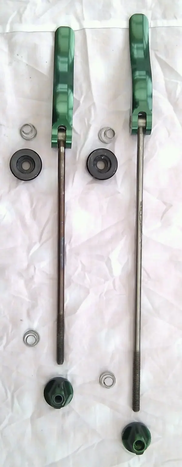 IMAG2326-1.webp