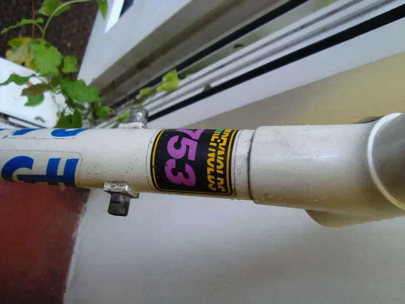 DT3.webp