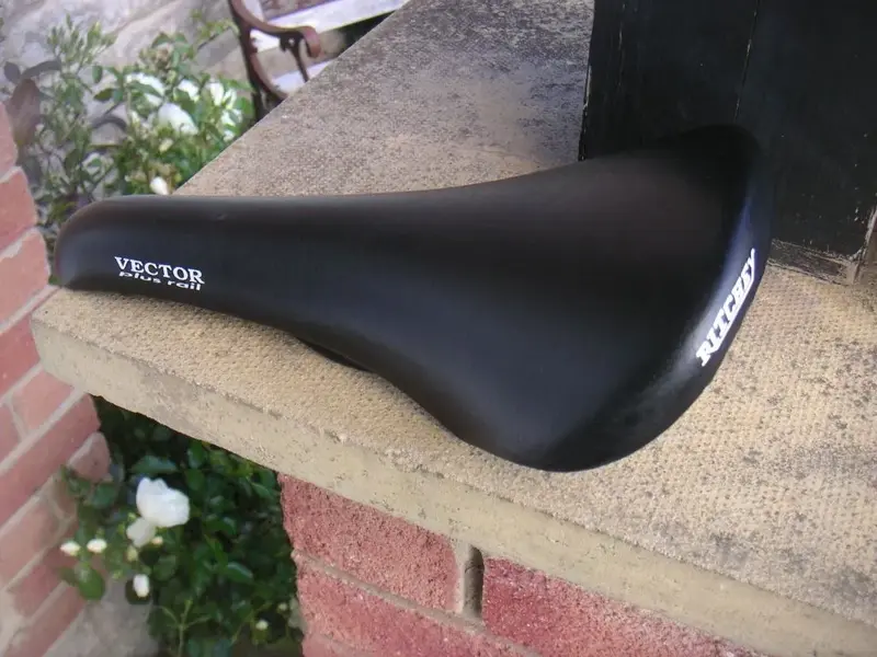 Ritchey2.webp