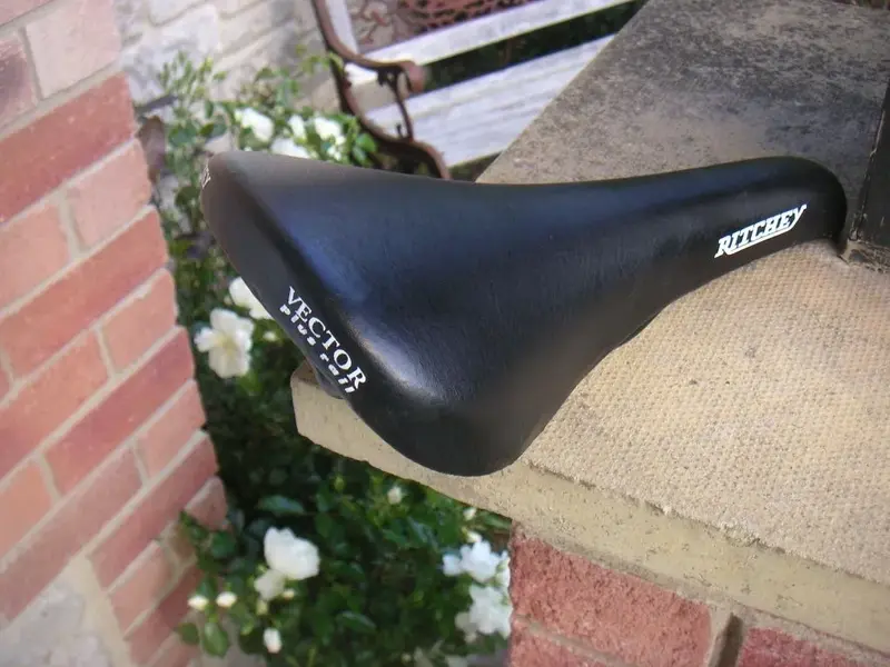 Ritchey1.webp