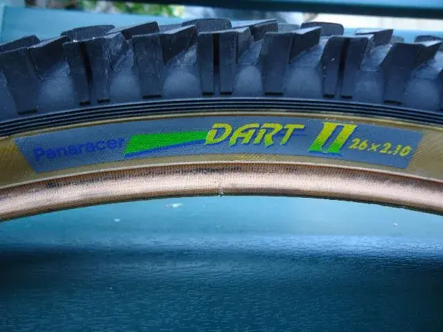 Dart II.webp