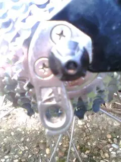 phone pictures 153.webp