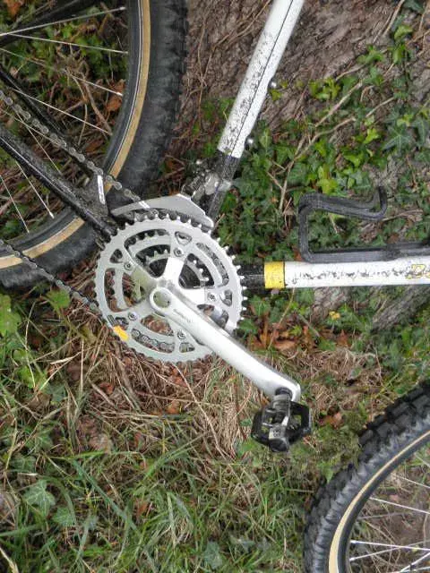 muddy bonty 106.webp