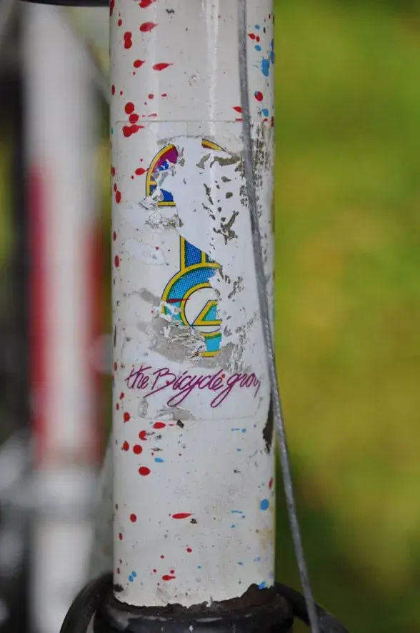 DSC_0737_lo.webp