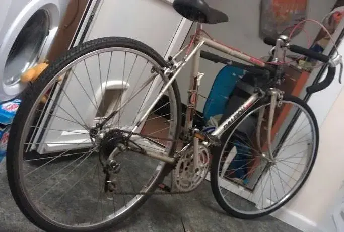 raleigh the winner.webp