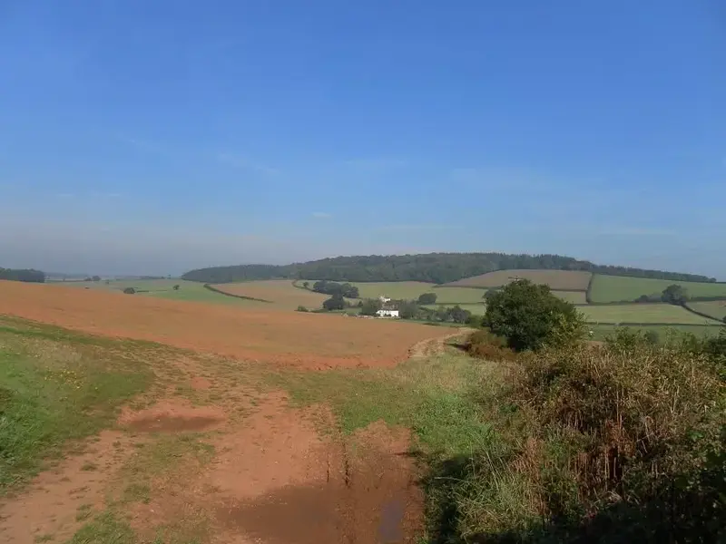 Haldon 5.webp