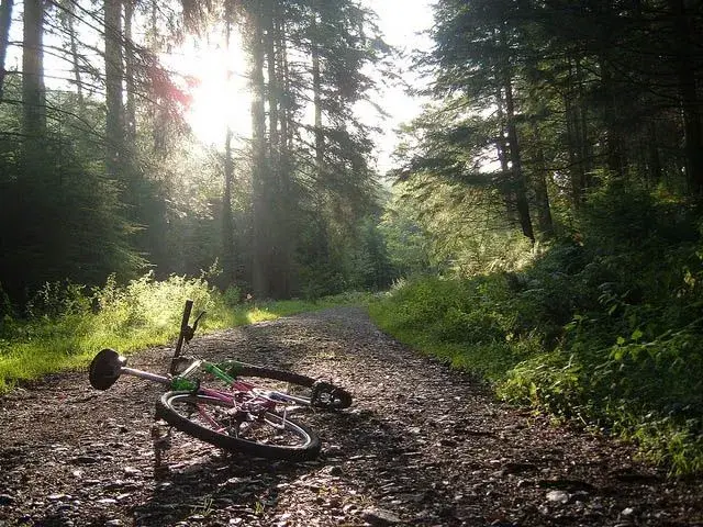 bike hoarder.webp