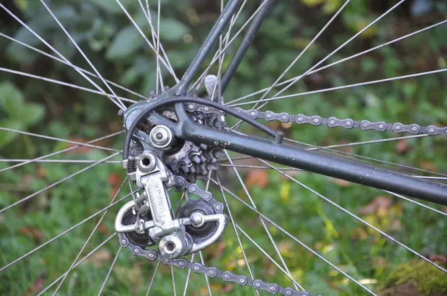 Rear stays.webp