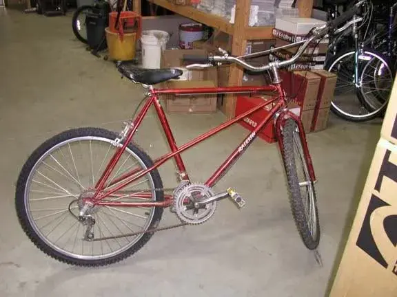 Raleigh Trail Rider 1982.webp