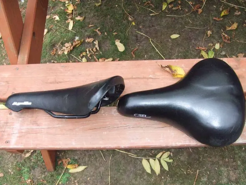 16 saddles.webp