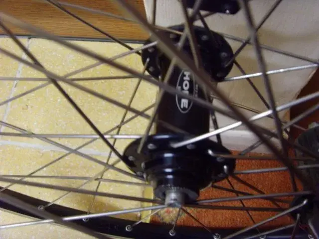 SNV36751 (640x480).webp
