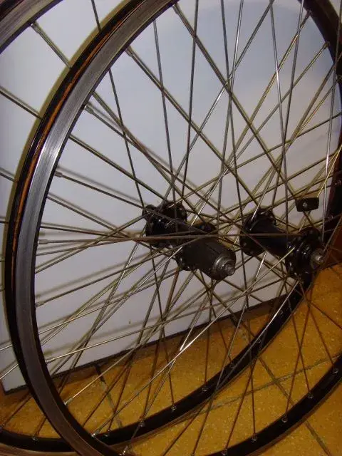 SNV36758 (480x640).webp