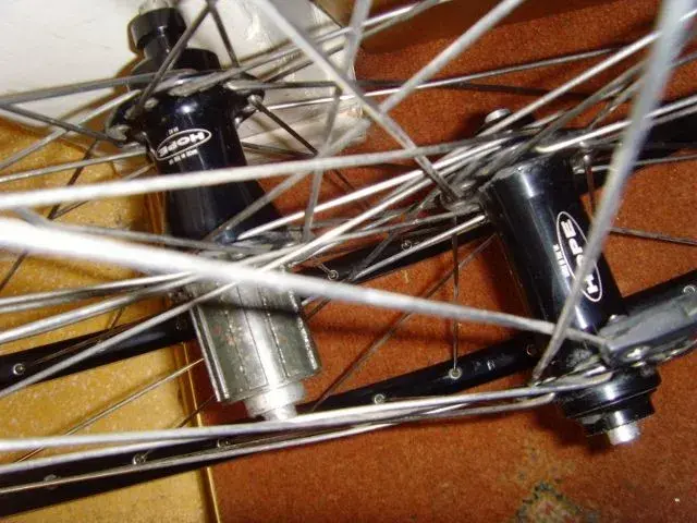 SNV36756 (640x480).webp