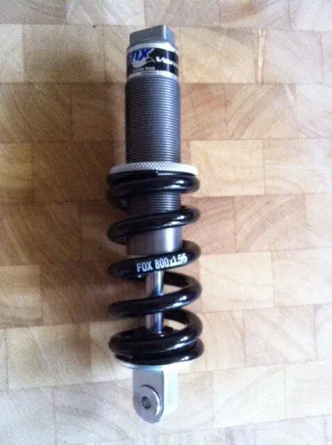 foxshox.webp