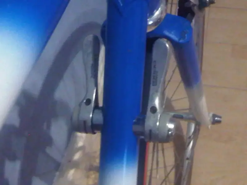 IMG00393-20110829-2343.webp