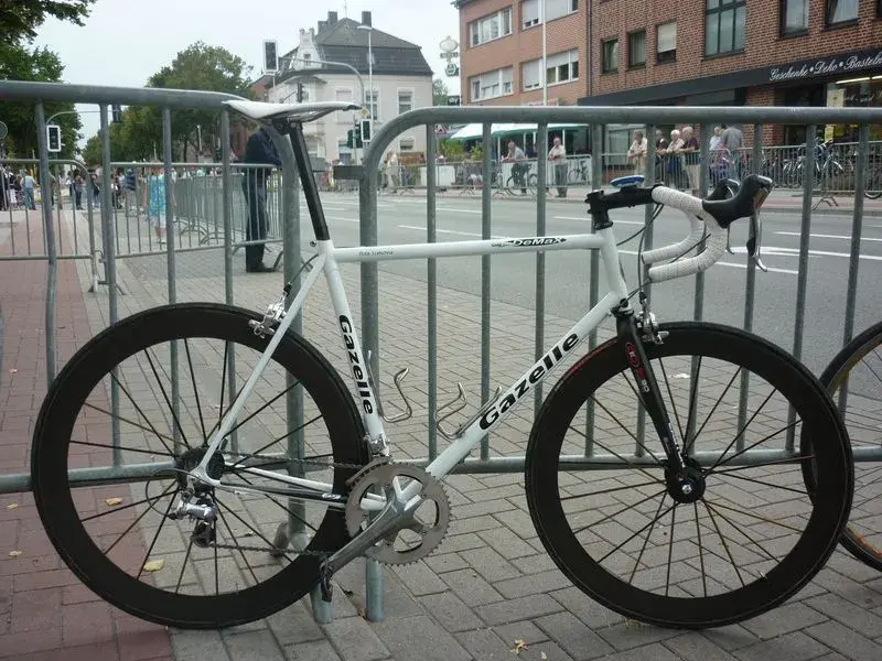 Gazelle Demax.webp