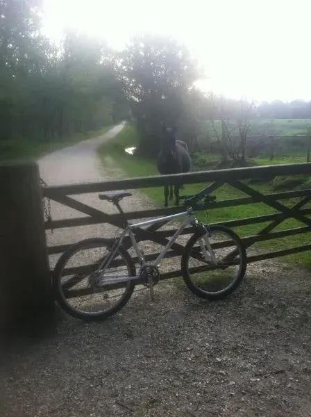 first ride.webp
