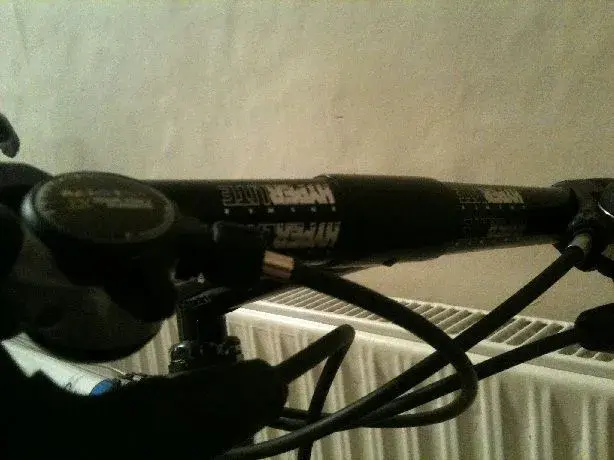 photo 2.webp