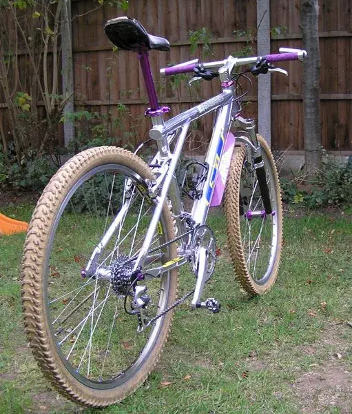 Rear.webp