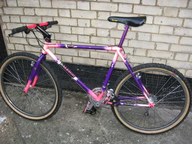 raleigh 001.webp