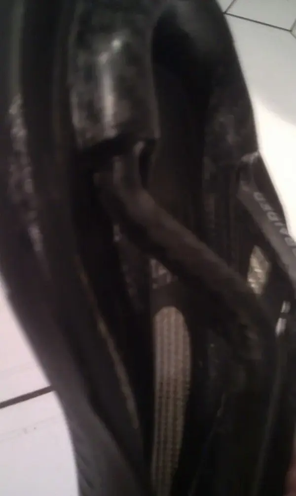 IMAG0501.webp
