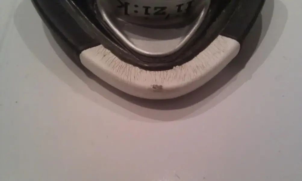 IMAG0500.webp