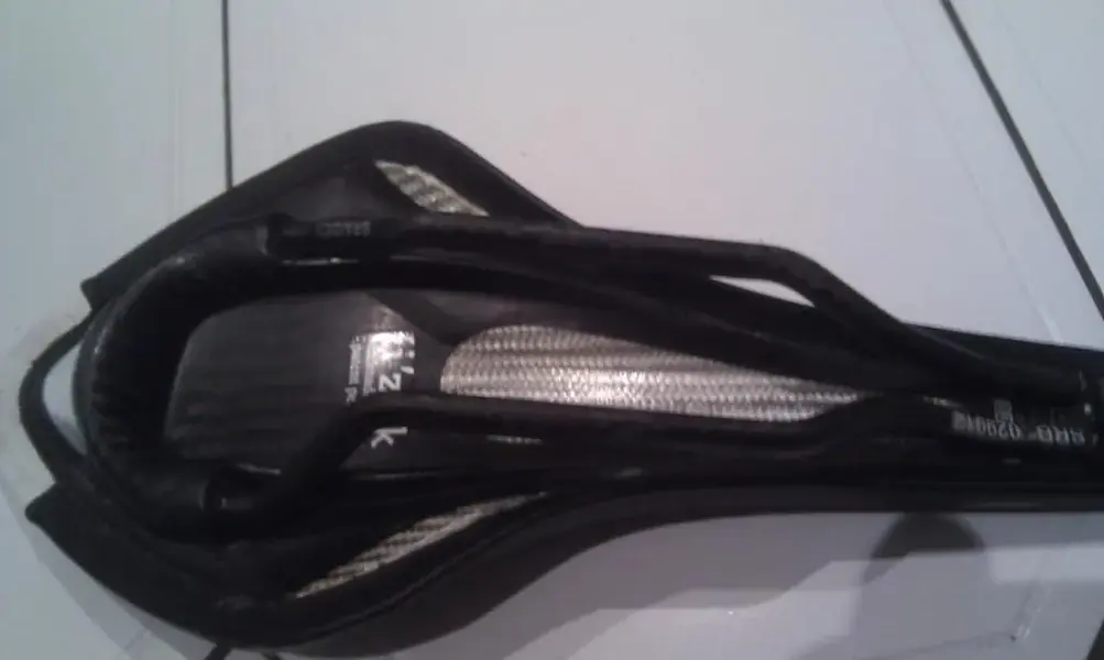 IMAG0498.webp