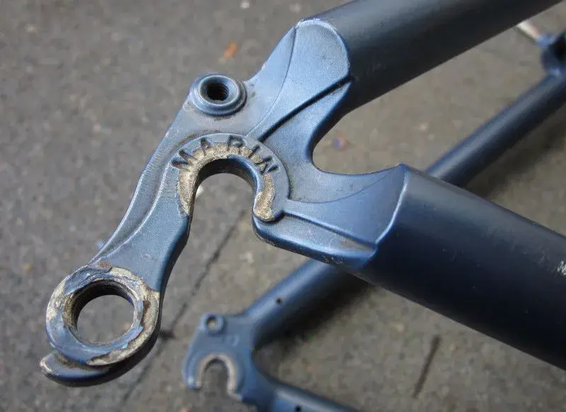 Marin dropout.webp