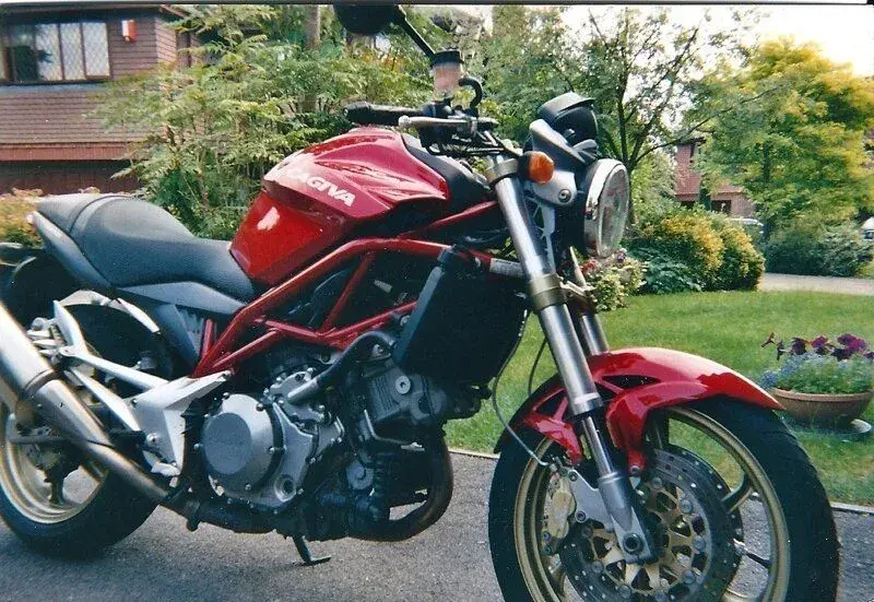 the raptor1.webp