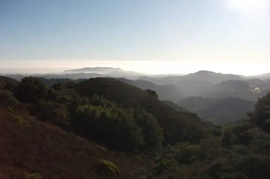 ViewFromTheTop.webp