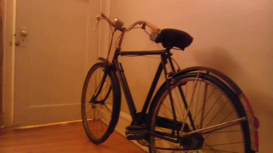 IMAG0217.webp