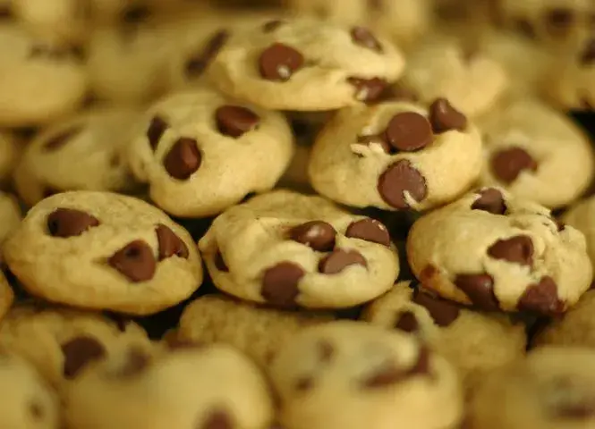 chocolate-chip-cookies-z74g0t.webp