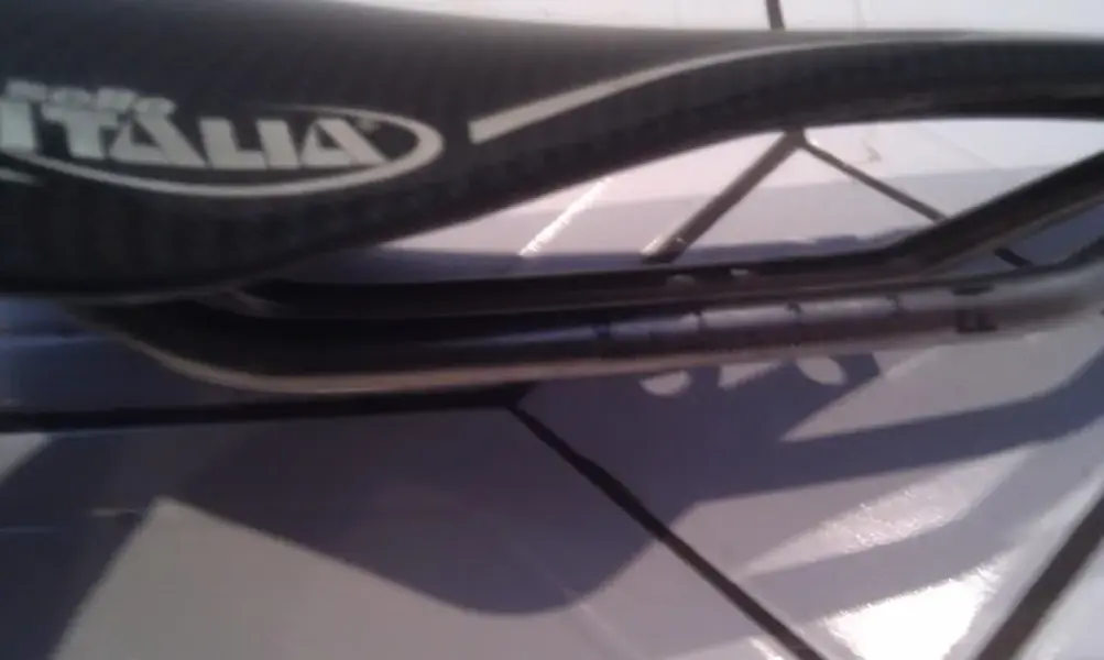 IMAG0513.webp