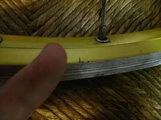 lemonmavic2.webp